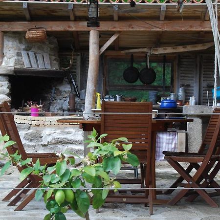 La Freiressa Bed & Breakfast Saint-Jean-des-Ollières Eksteriør bilde